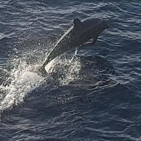 Apartment Etxie La Casa De Ebi 326 *