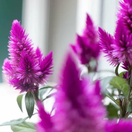 Etxie La Casa De Ebi 326 Apartment