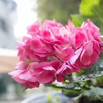 Etxie La Casa De Ebi 326