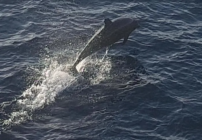 Appartamento Etxie La Casa De Ebi 326 *