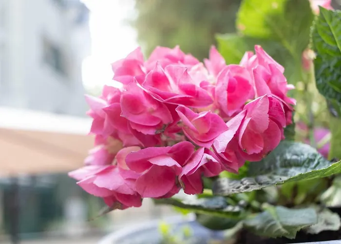 Etxie La Casa De Ebi 326