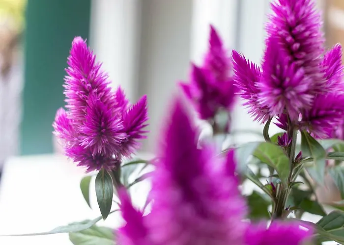 Etxie La Casa De Ebi 326 Apartamento